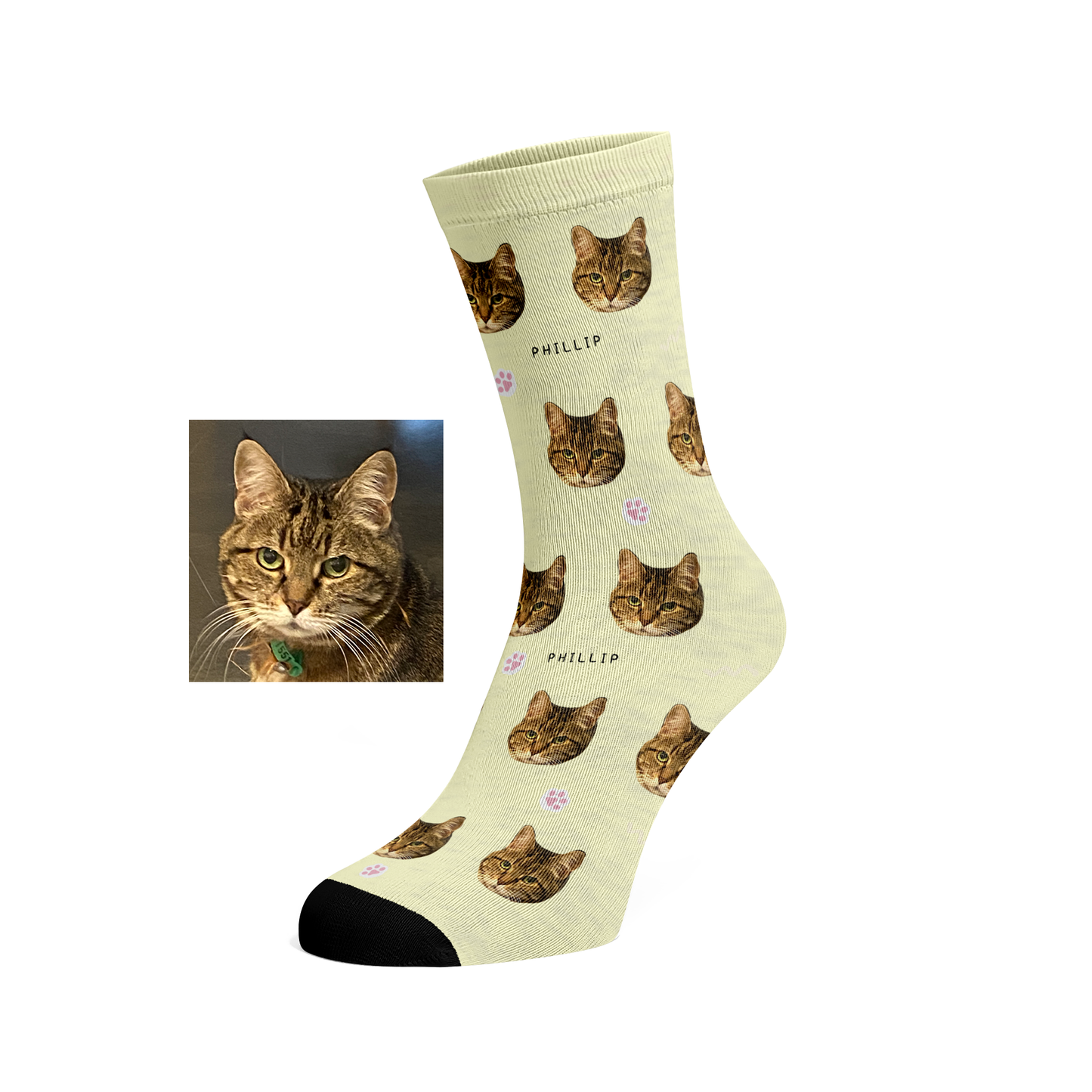 Custom Pet socks (paws)
