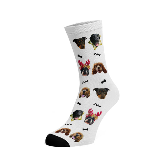 Custom Pet Socks - Niharika Sirsikar