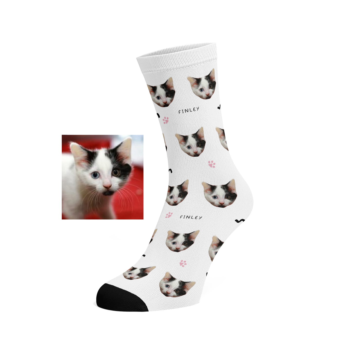 Custom Pet socks (paws)
