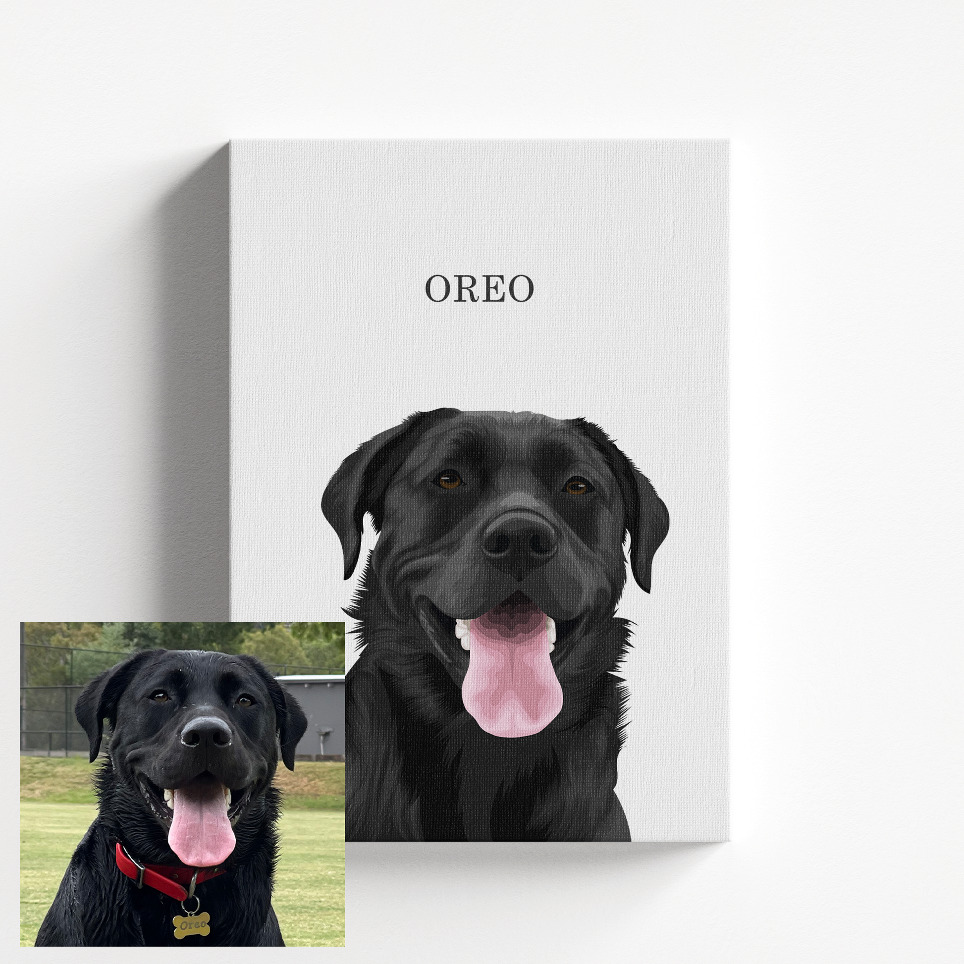 Pet portrait socks deals